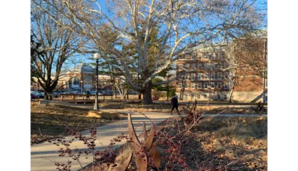 Red Oak Rain Garden