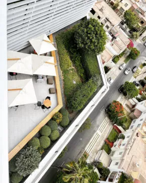 Photo of roof garden in Lima, Peru, by firm Paisaje Vivo