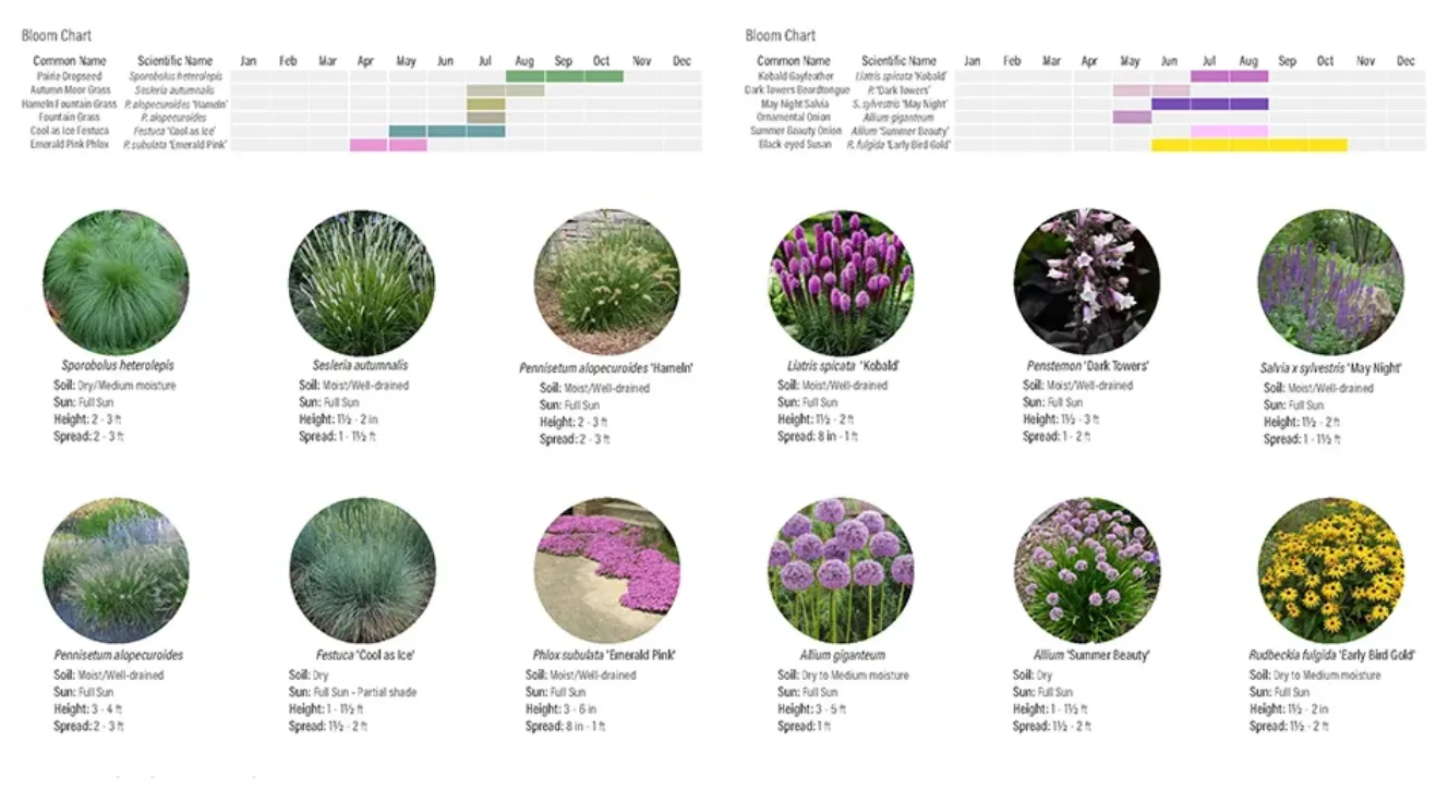 Planting palette and bloom chart