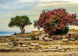 View of a rocky archaeological site with two trees