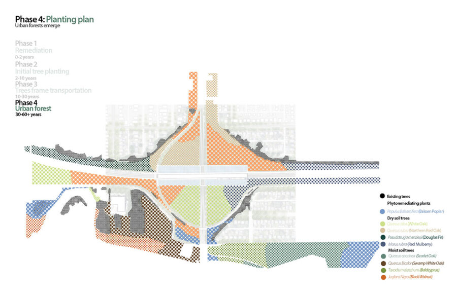 Phase 4 planting plan from project “SuperForestation”