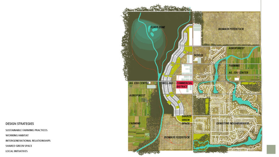 Plan showing distribution of design strategies in Sophia Dennis project "Regenerative Suburbs"