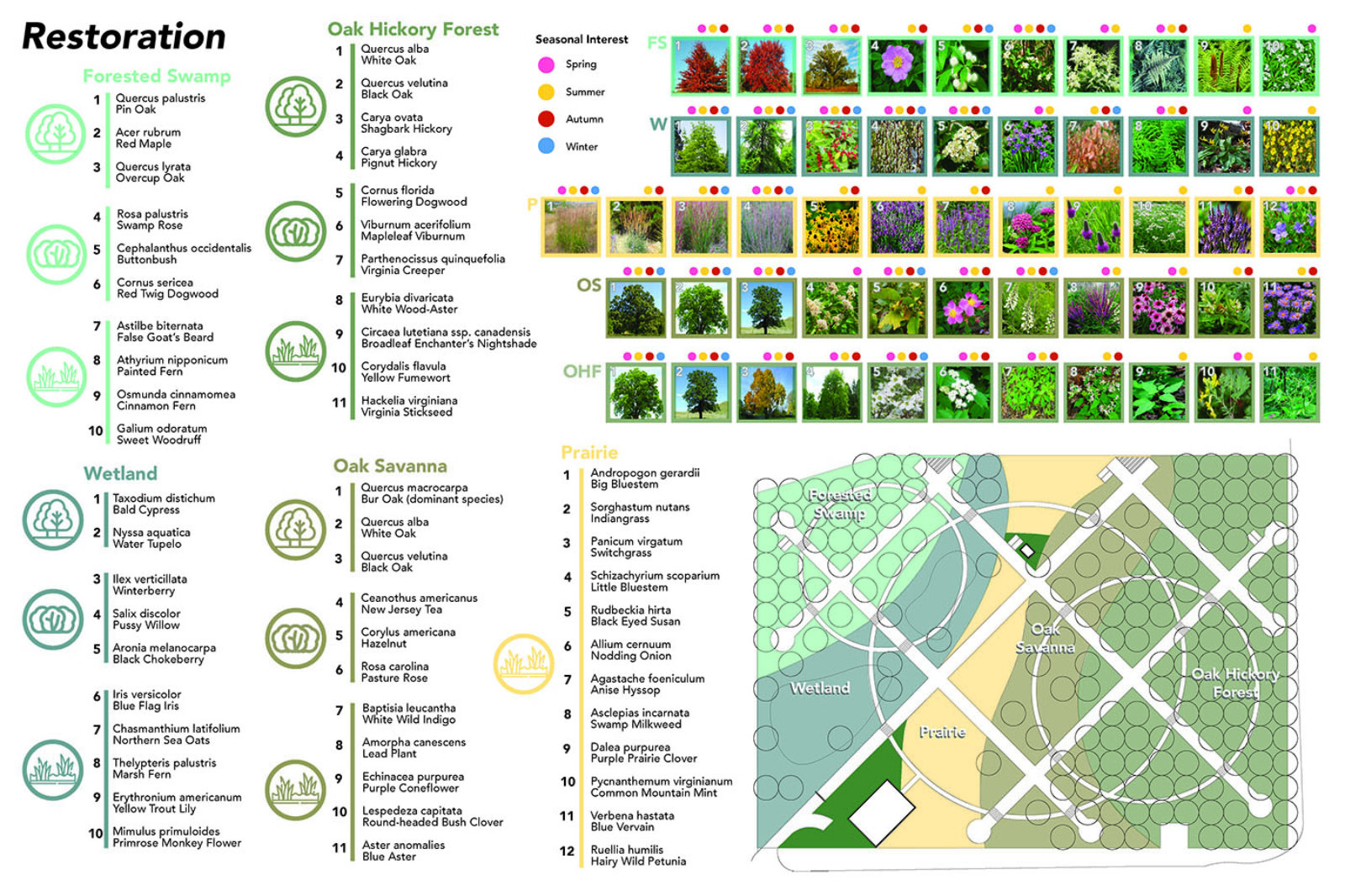 Plant selection and plan for Restoration aspect of "Memorial Nature Preserve" by Kristen St.Pierre