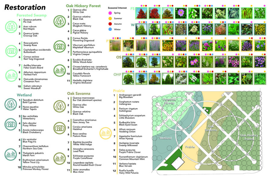 Plant selection and plan for Restoration aspect of "Memorial Nature Preserve" by Kristen St.Pierre