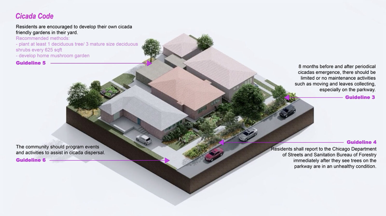 Guidelines for residential areas in "Cicada Code" project by Anne Tong