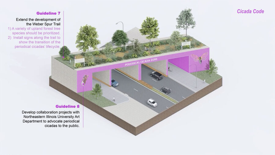 Guidelines for overpass trail in "Cicada Code" project by Anne Tong