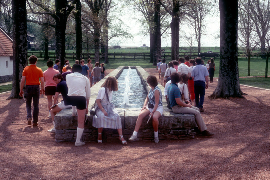 Photo of students on field trip visit to Gainesway Farm in Lexington, KY