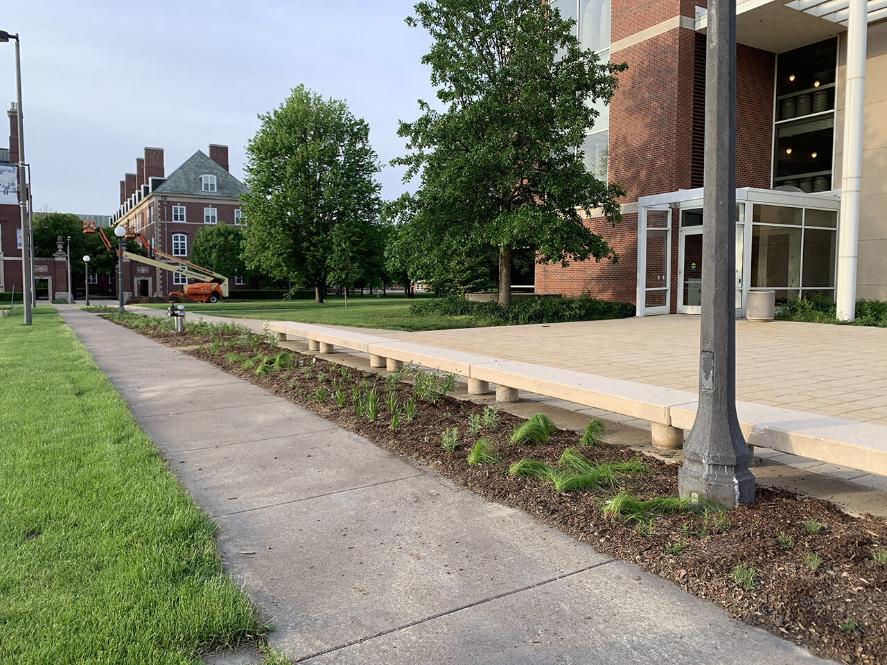 View of the newly planted Sofia T. Soudavanh Garden on May 22, 2022