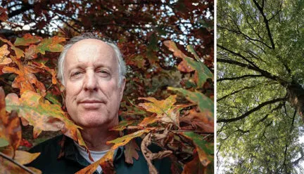 Portrait of Doug Tallamy surrounded by oak leaves