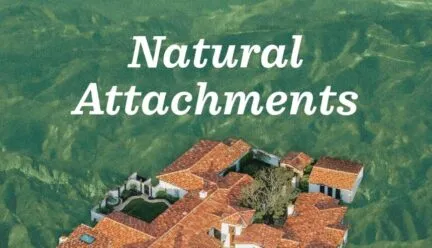 book cover - with many houses within green landscape