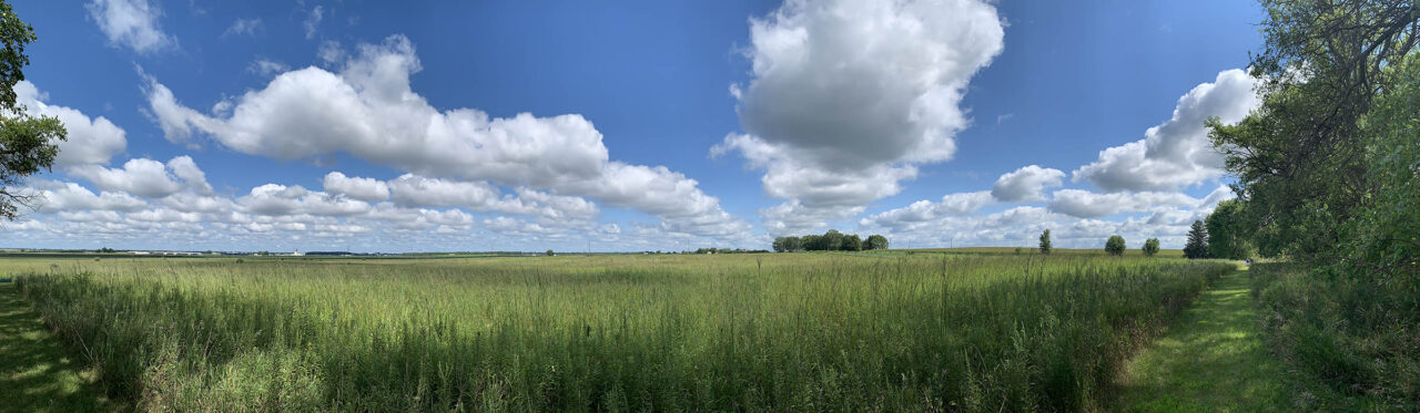 Newsletter header image