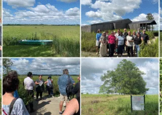 faculty and staffs at Bluestem Hall Nature School, which is adjacent to the Barnhart Prairie Nature Preserve in south Urbana.