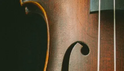 string instrument
