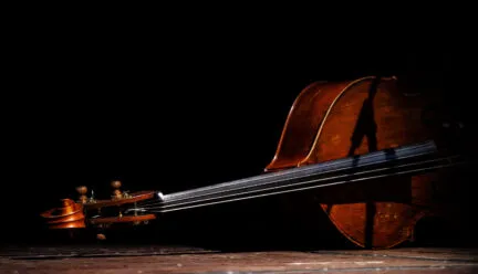 double bass
