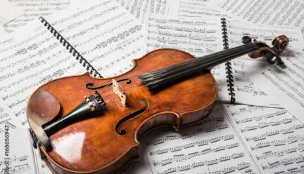 viola