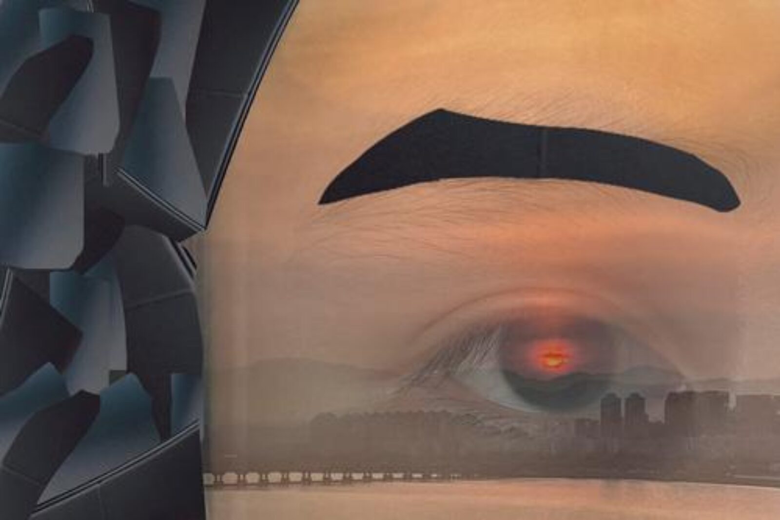 self portrait very up close showing eye, eyebrow, and hair