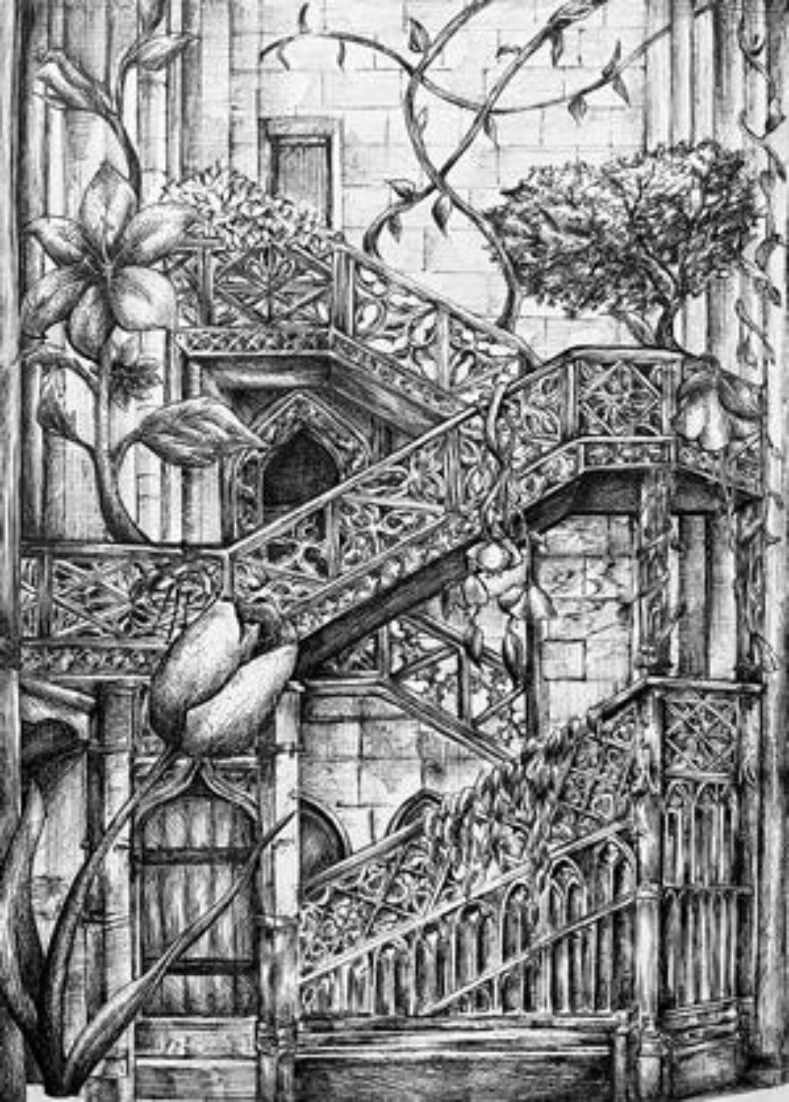 black and white drawing of staircase with vines