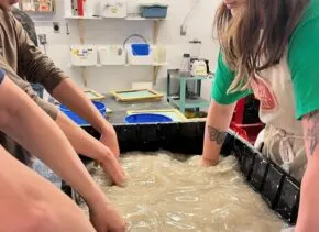 students with hands in papermaking water