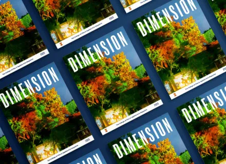 several copies of dimension magazine fanned out