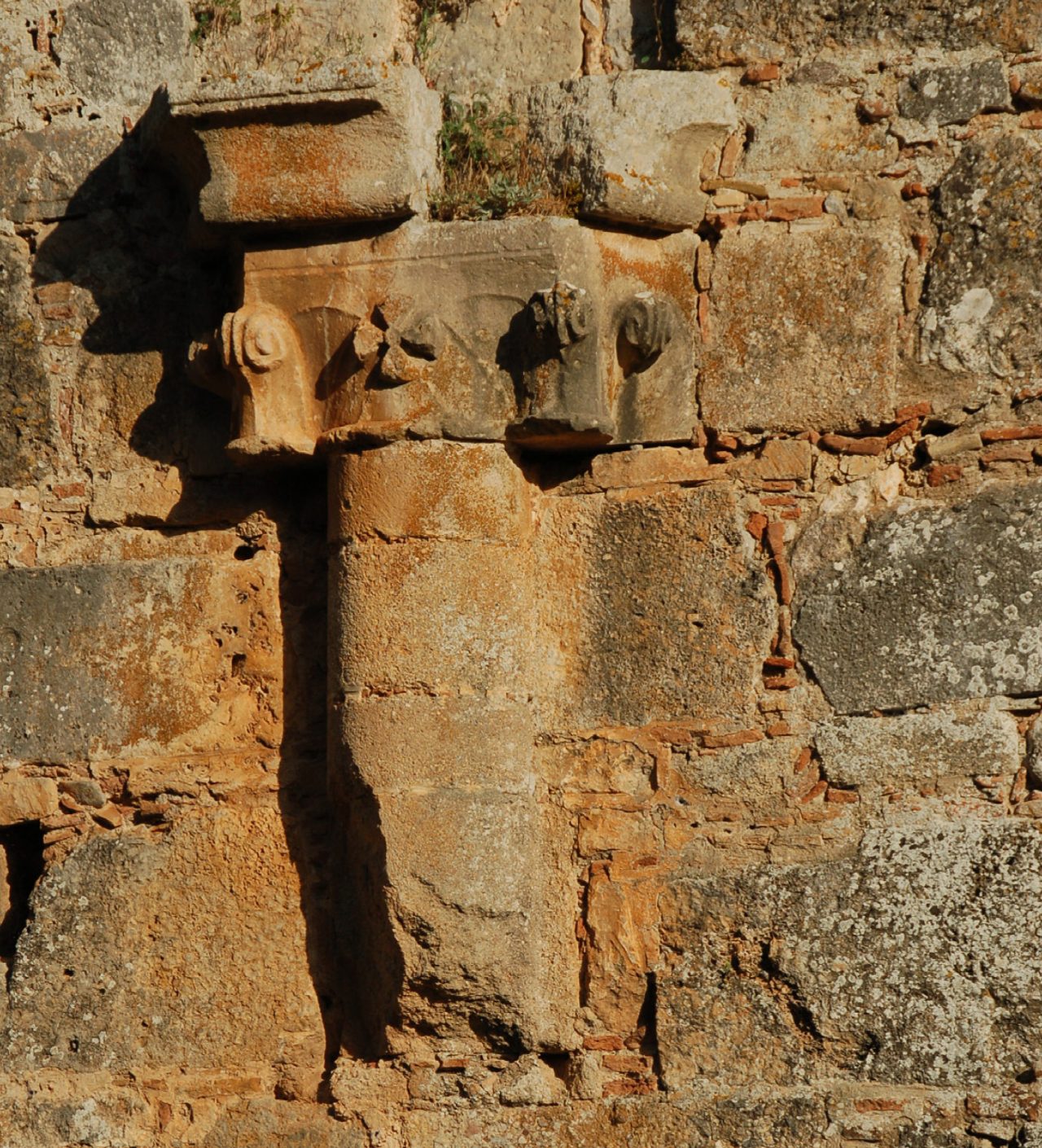 Detail photo of capital ornament 