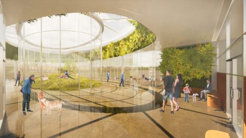 Interior view of the kennel area with a courtyard and flexible kennel spaces