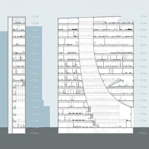 sections 