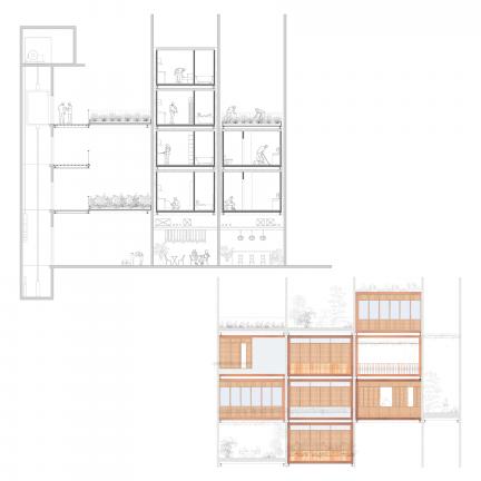 section and elevation 