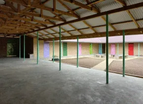 image of courtyard with colored columns and doors 