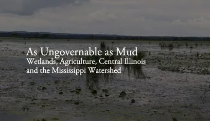 As Ungovernable as Mud graphic