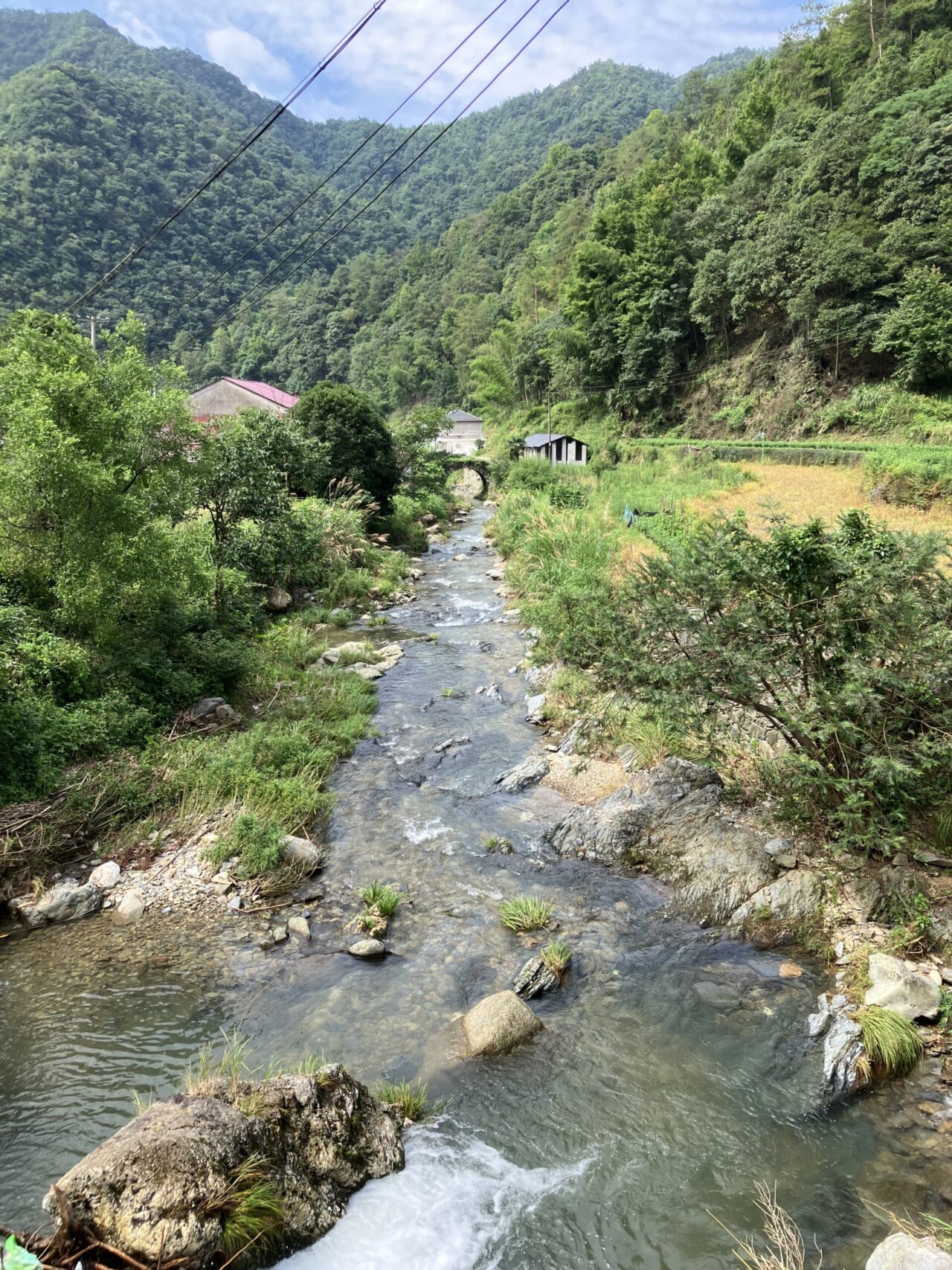 Stream flowing in a green mountain landscape