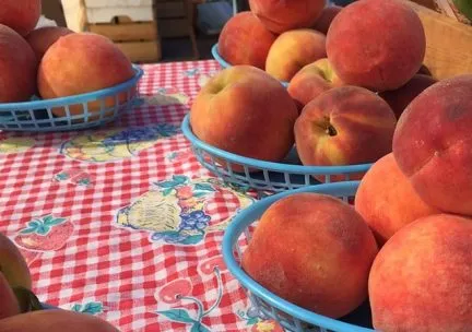 Photo of ripe whole peaches in blue baskets on a red and white checked tablecloth