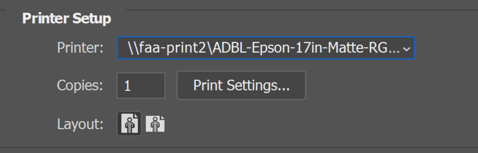 Layout Options and Print Settings Button