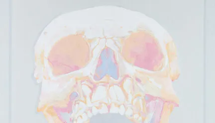 drawn and painted skeleton face