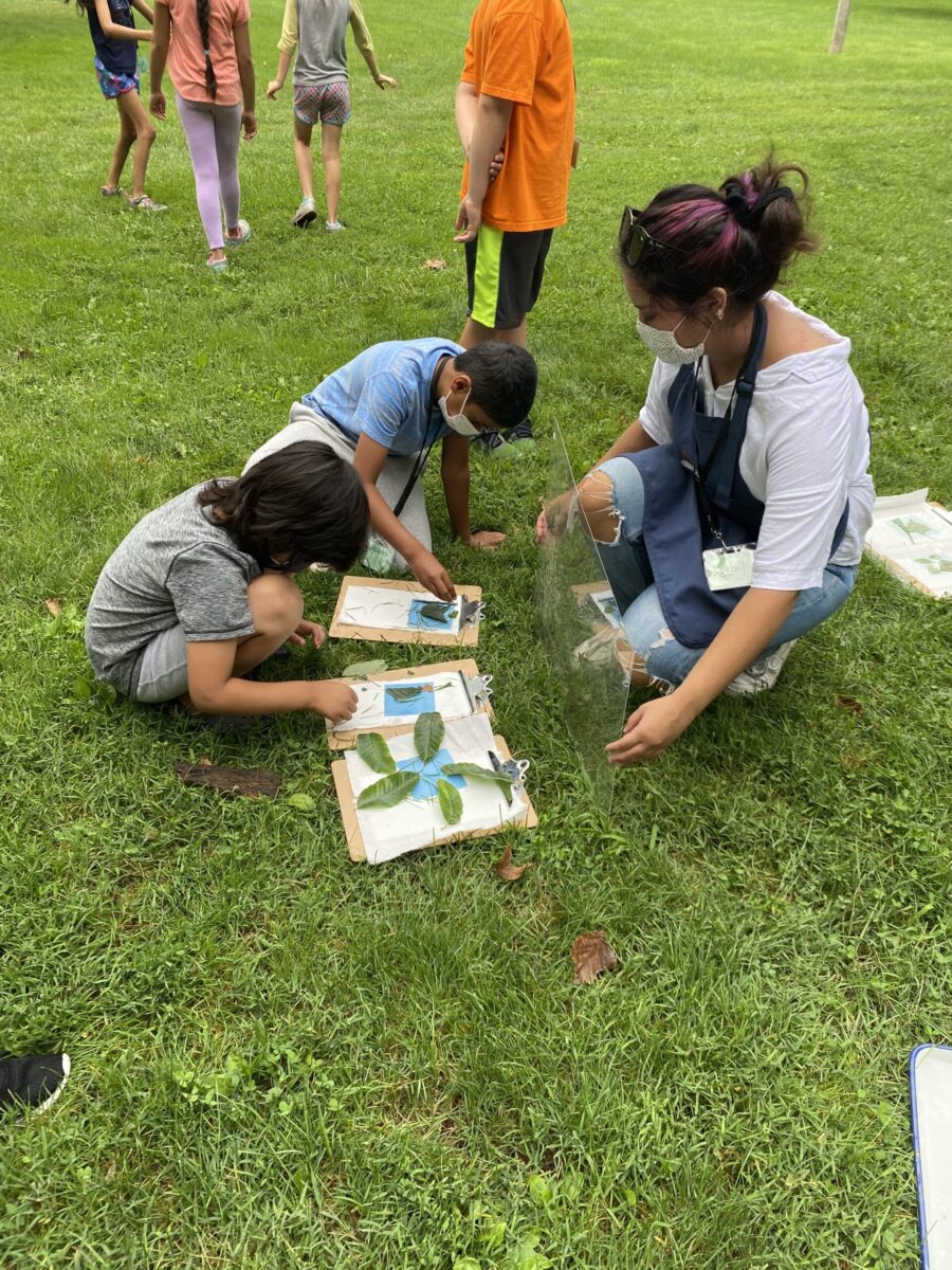 children and their teacher make cyanotypes on blue paper outdoors, they use leaves to make the imprints