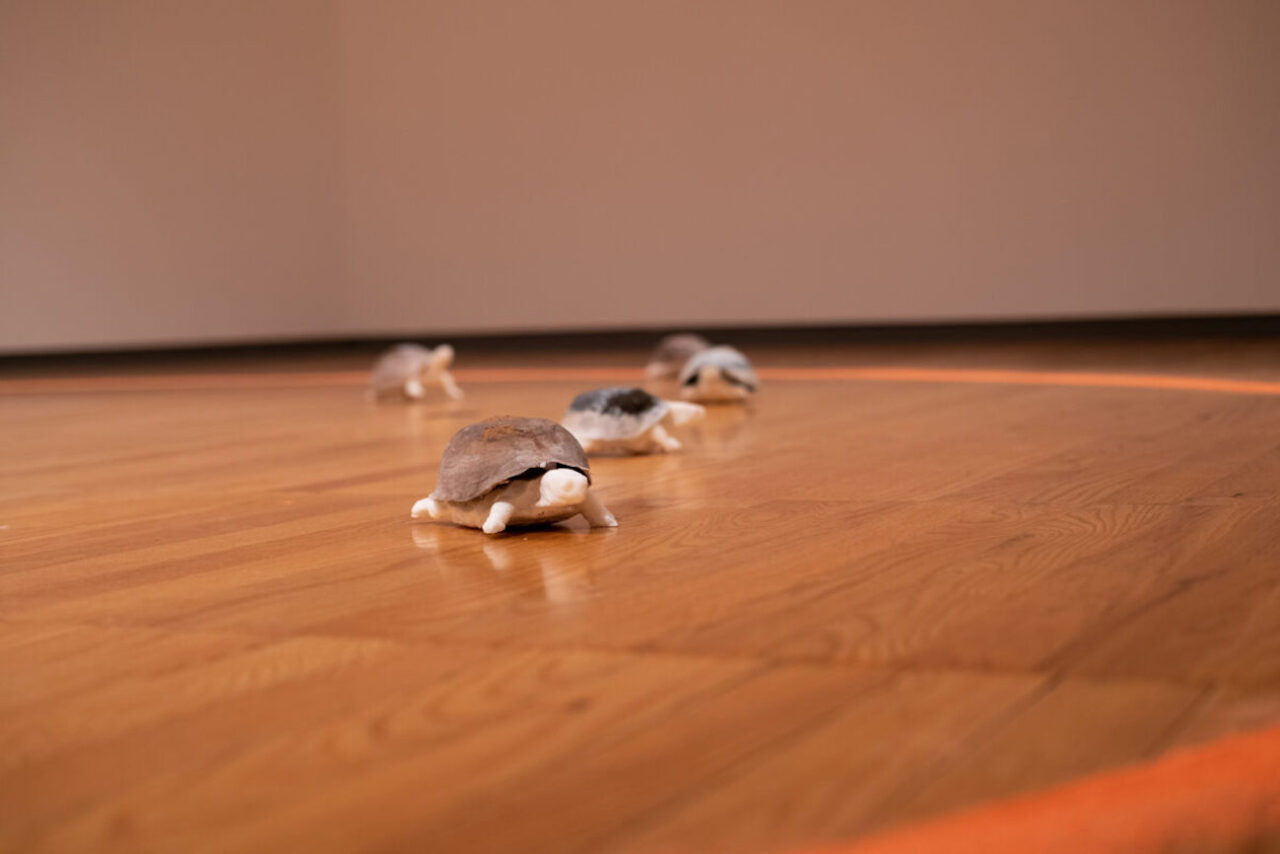 Several sculptures of turtles are arranged inside of a circle outlined in orange chalk.