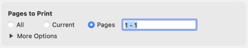 Fig 2 - Print One Page at a Time