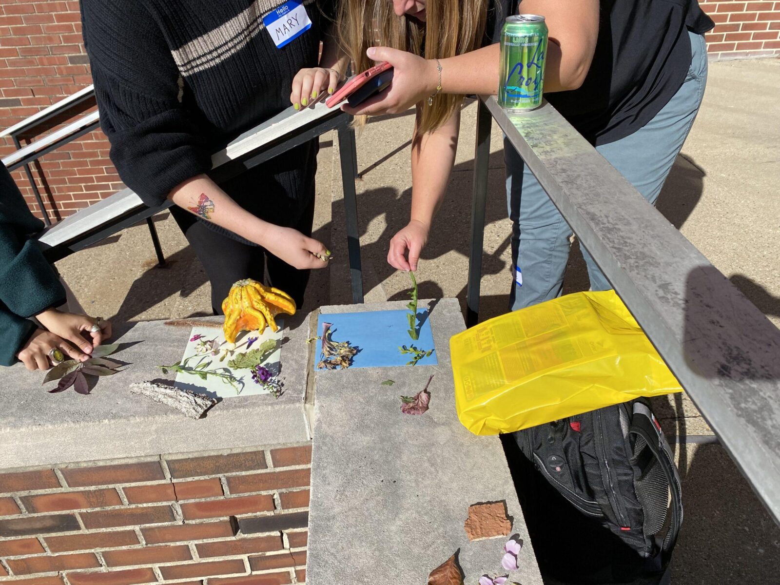 students making cyanotypes 