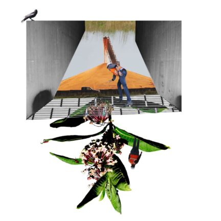 A photomontage featuring a worker inspecting a large pile of yellow soybeans in a storage facility and a large, upsidedown milkweed flower.