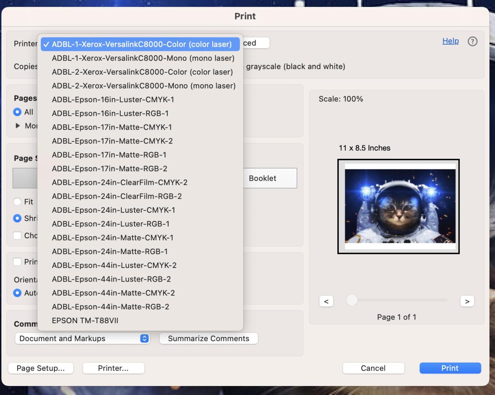 Acrobat Print Menu