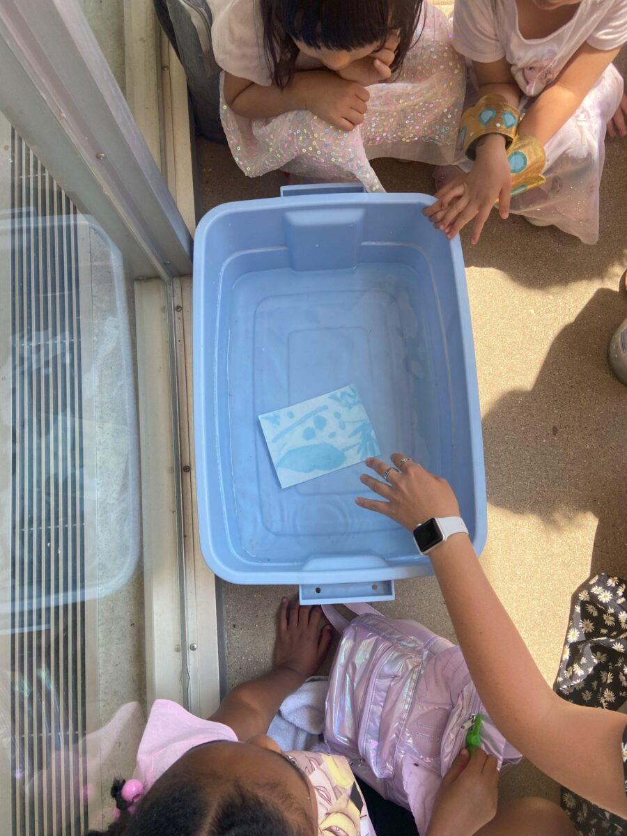 Students processes their sunprints in water