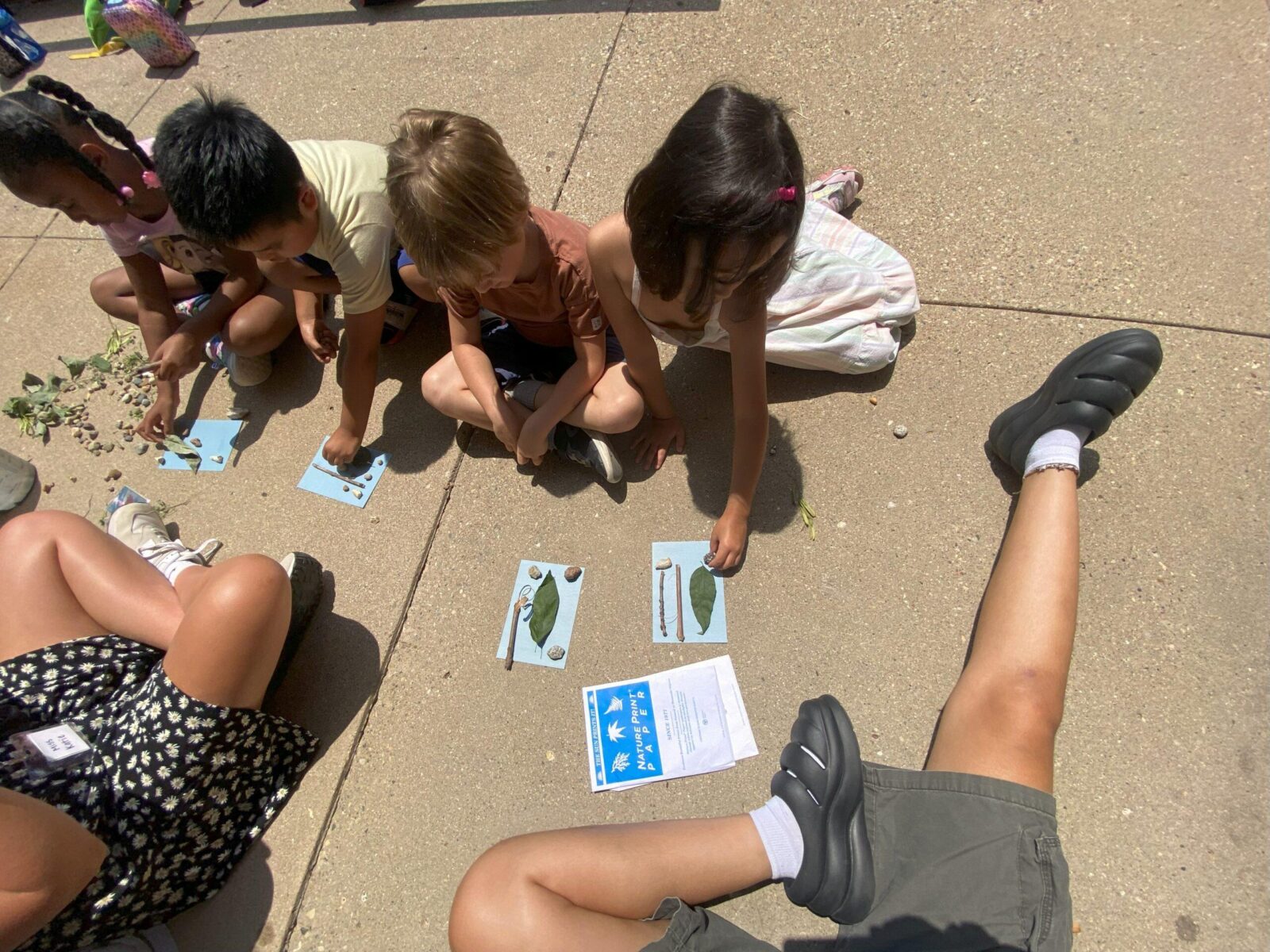 Students setting objects from nature on sun print paper