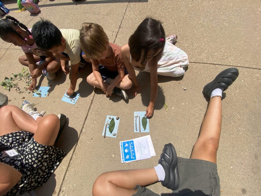 Students setting objects from nature on sun print paper