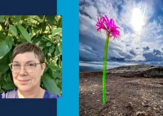 art installation of large lily in a barren-looking field