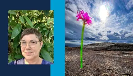 art installation of large lily in a barren-looking field