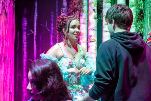 person in large princess dress performing on stage