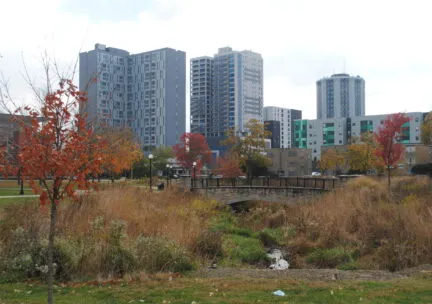 Champaign skyline