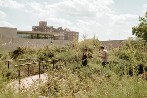 two people in field with walkway bridge