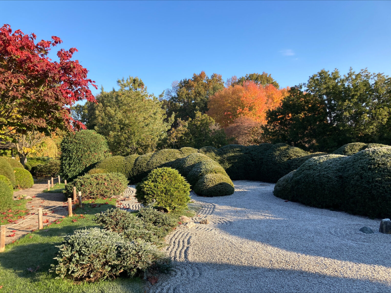 Autumn at Japan House