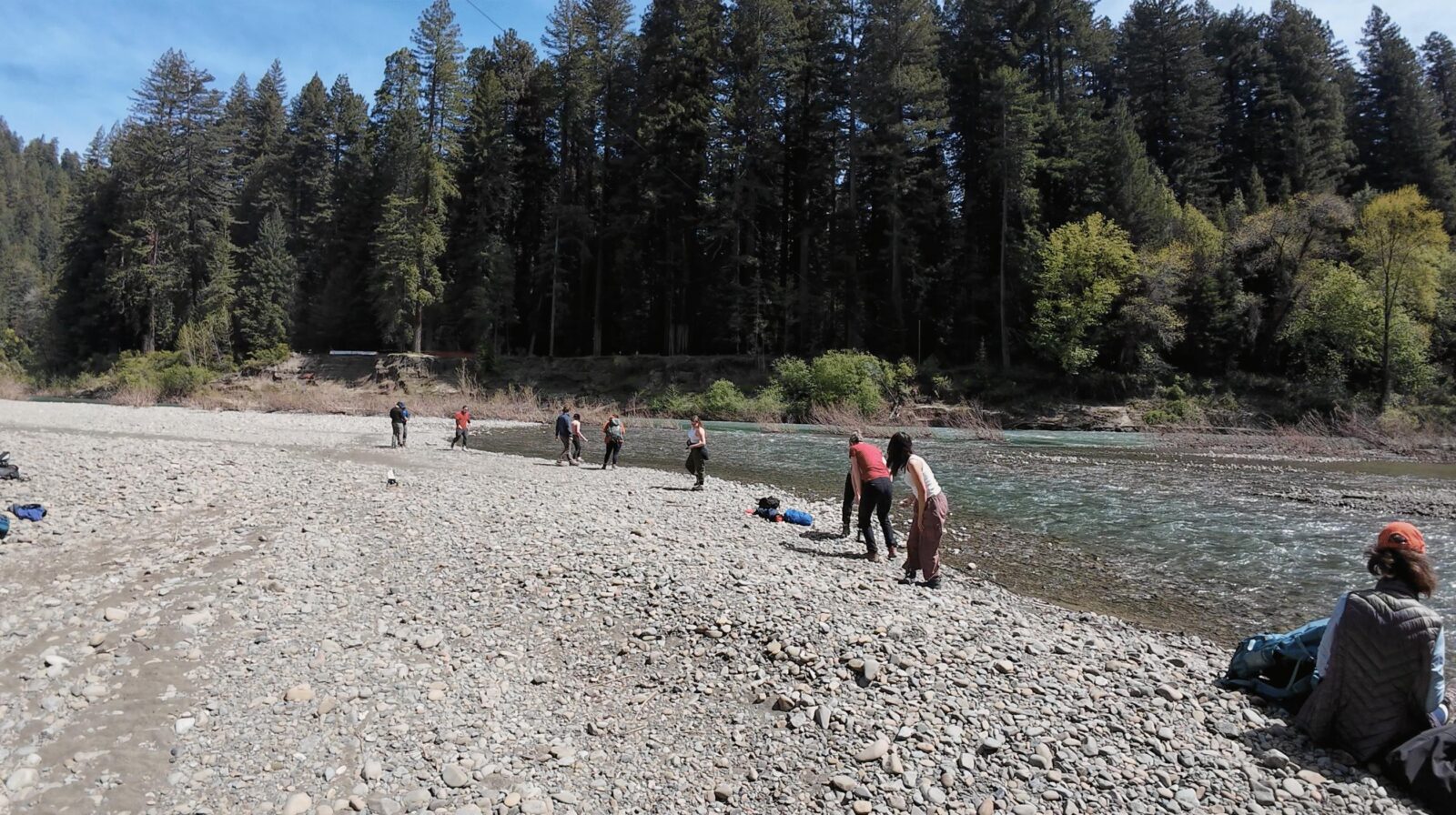 students on the beach