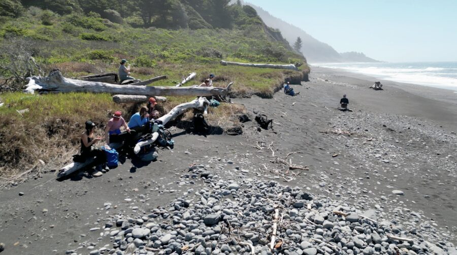 students having lunch on the beach